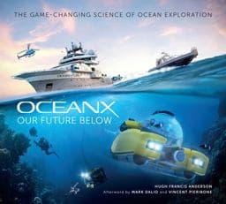 Our Future Below 9781647225414