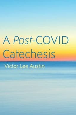 A Post-COVID Catechesis 9781666730418