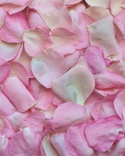 College Ruled Composition Notebook 9781678677848