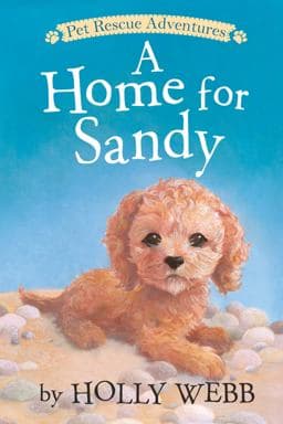 A Home for Sandy 9781680104080