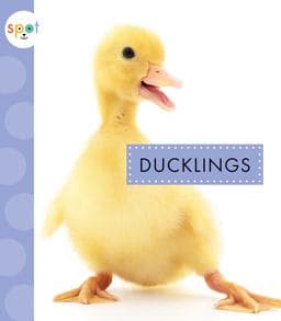 Ducklings 9781681523682