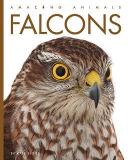 Falcons 9781682771181