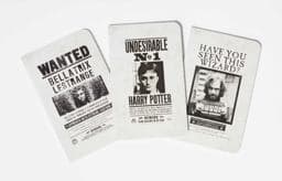 Harry Potter: Wanted Posters Pocket Notebook Collection (Set Of 3) 9781683833574
