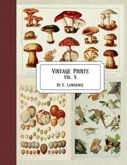 Vintage Prints: Vol. 5 9781720746270