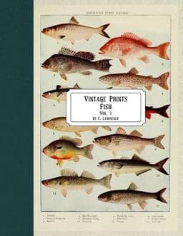 Vintage Prints: Fish: Vol. 1 9781720784807
