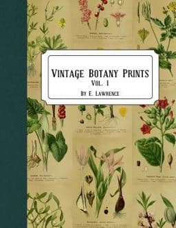 Vintage Botany Prints: Vol. 1 9781721001897