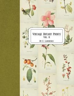 Vintage Botany Prints: Vol. 6 9781721904761