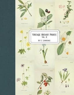 Vintage Botany Prints: Vol. 8 9781721997459