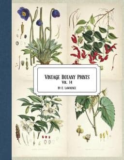 Vintage Botany Prints: Vol. 14 9781724534514