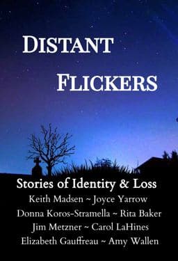 Distant Flickers 9781735929231