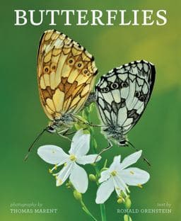 Butterflies 9781770855809