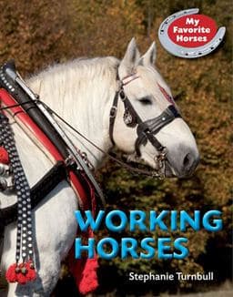 Working Horses 9781770922266
