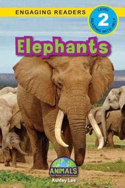 Elephants 9781774376171