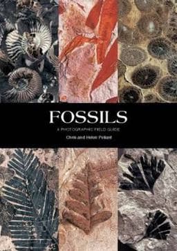 Fossils 9781780094083