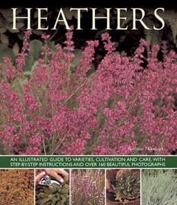 Heathers 9781780192642