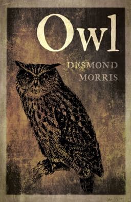 Owl 9781780239163