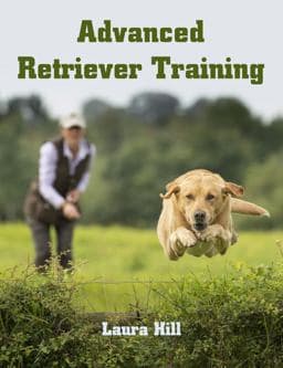 Advanced Retriever Training 9781785007552