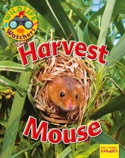 Harvest Mouse 9781788560580