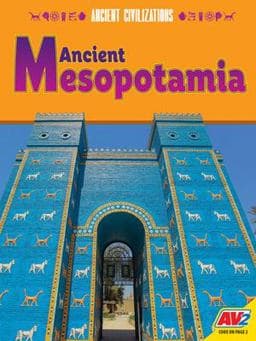Ancient Mesopotamia 9781791128876