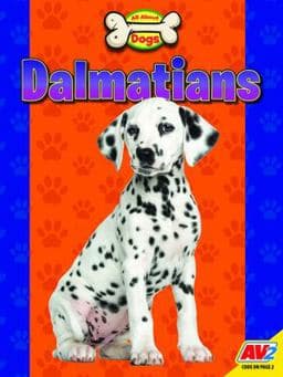 Dalmatians 9781791140472