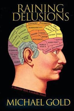 Raining Delusions 9781791726317