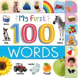 My First 100 Words 9781838527792