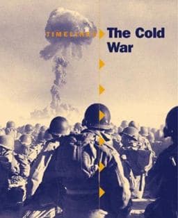 The Cold War 9781841937267