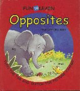 Fun to Learn Opposites 9781843221258