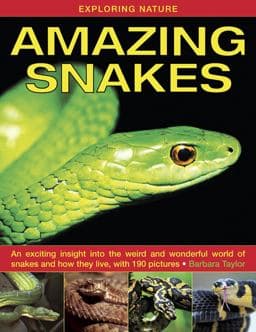 Exploring Nature - Amazing Snakes 9781843227366