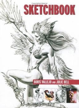 Sketchbook 9781843402220