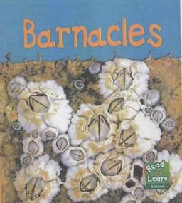 Barnacles 9781844210107