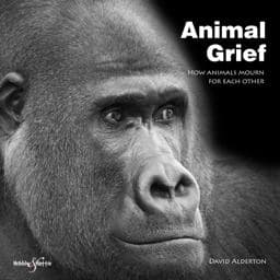 Animal Grief 9781845842888