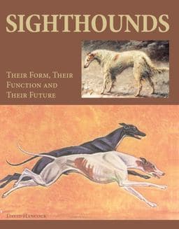 Sighthounds 9781847973924