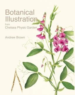 Botanical Illustration 9781851497966