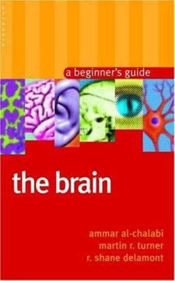 The Brain 9781851683734