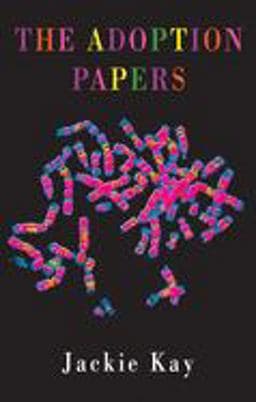 The Adoption Papers 9781852241568