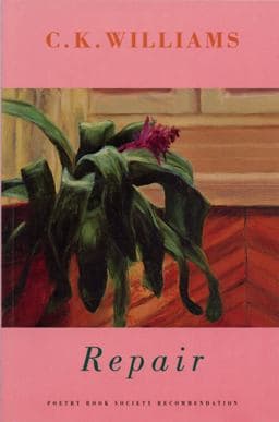 Repair 9781852245108