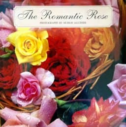 The Romantic Rose 9781854101471
