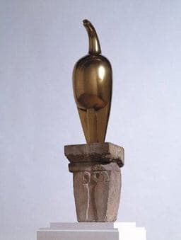 Constantin Brancusi 9781854375452