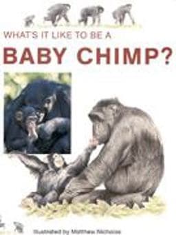 Baby Chimp 9781855618503