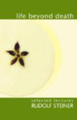 Life Beyond Death 9781855840171