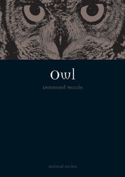 Owl 9781861895257
