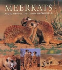 Meerkats 9781868723102