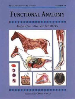 Functional Anatomy 9781872119199