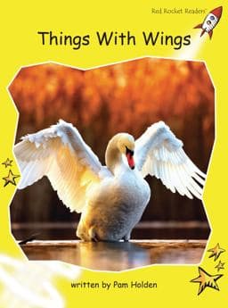 Things with Wings 9781877419997