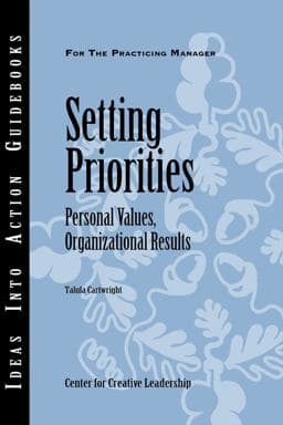 Setting Priorities 9781882197989