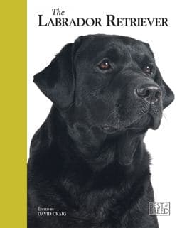 The Labrador Retriever 9781906305215