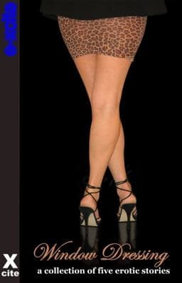 Window Dressing 9781908006158