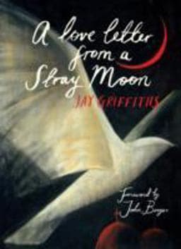 A Love Letter from a Stray Moon 9781908213174