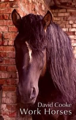 Work Horses 9781908742001